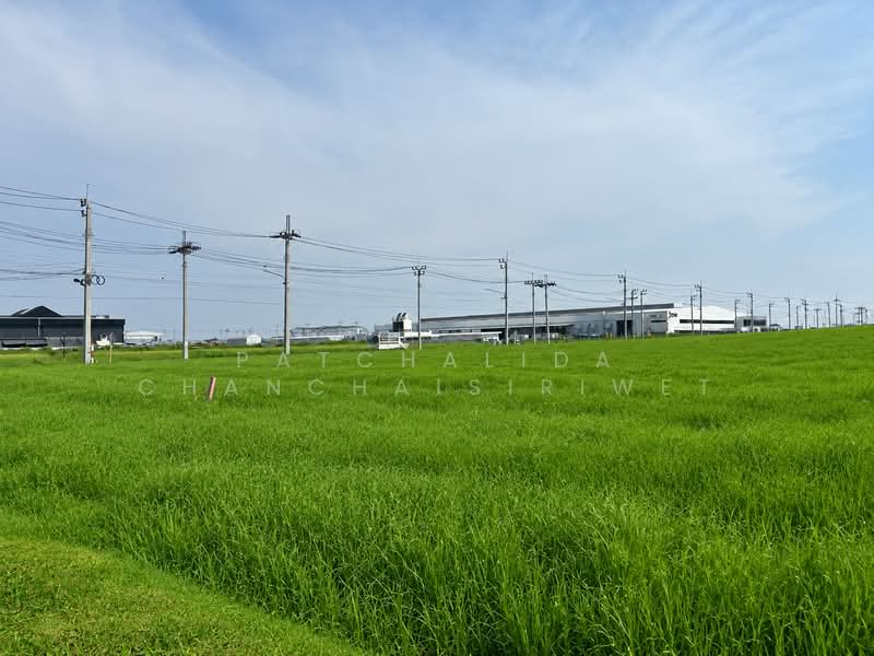 Industrial Land for Sale / Long-Term Lease – 7 Rai | Purple Zone (Industrial Use), Samut Prakan, Phraeksa, Muang Samut Prakarn, Samut Prakan, , 11,200 sqm, Land For Rent, by Patchalida Chanchaisiriwet, 500442457 - DDproperty.com