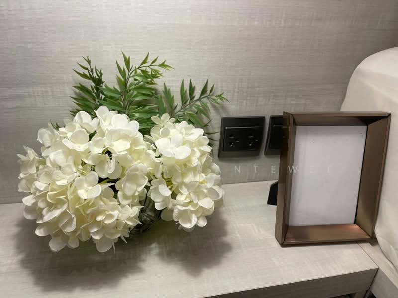 The Line Sukhumvit 101, Bangkok, 3009 Sukhumvit 101 Road, Bang Chak, Phra Khanong, Bangkok, 1 Bedroom, 33 sqm, Condo For Rent, by Pinyada Hantewee, 500442526 - DDproperty.com