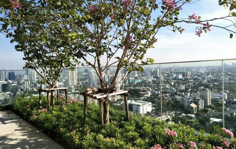 Rhythm Ekkamai, Bangkok, 11 Soi Sukhumvit 63, Khlongtoei Nua, Watthana, Bangkok, Studio, 30 sqm, Condo For Rent, by Farida Phetnuam, 500442636 - DDproperty.com