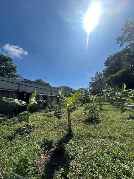 Don Kaeo, Mae Rim, Chiangmai, Chiang Mai, Don Kaeo, Mae Rim, Chiang Mai, , 472 sqm, Land For Sale, by Best Choice Property, 500442860 - DDproperty.com