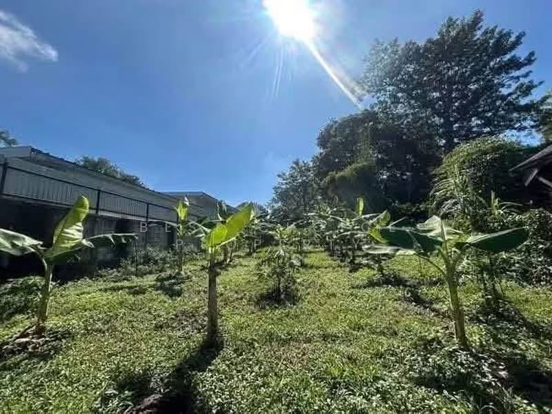 Don Kaeo, Mae Rim, Chiangmai, Chiang Mai, Don Kaeo, Mae Rim, Chiang Mai, , 472 sqm, Land For Sale, by Best Choice Property, 500442860 - DDproperty.com