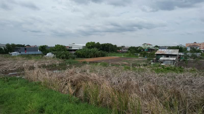 ที่ดิน ซอยลำลูกกา 11/14 ถนนลำลูกกา 11, ปทุมธานี, คูคต, ลำลูกกา, ปทุมธานี, 8,640 ตร.ม., ที่ดิน ขาย, โดย ภัทรนัน อิศรางกูร ณ อยุธยา, 500442887 - DDproperty.com