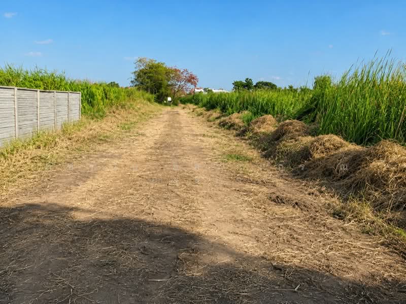 ที่ดิน ซอยลำลูกกา 11/14 ถนนลำลูกกา 11, Pathum Thani, Khu Khot, Lam Luk Ka, Pathum Thani, , 8,640 sqm, Land For Sale, by ภัทรนัน อิศรางกูร ณ อยุธยา, 500442887 - DDproperty.com
