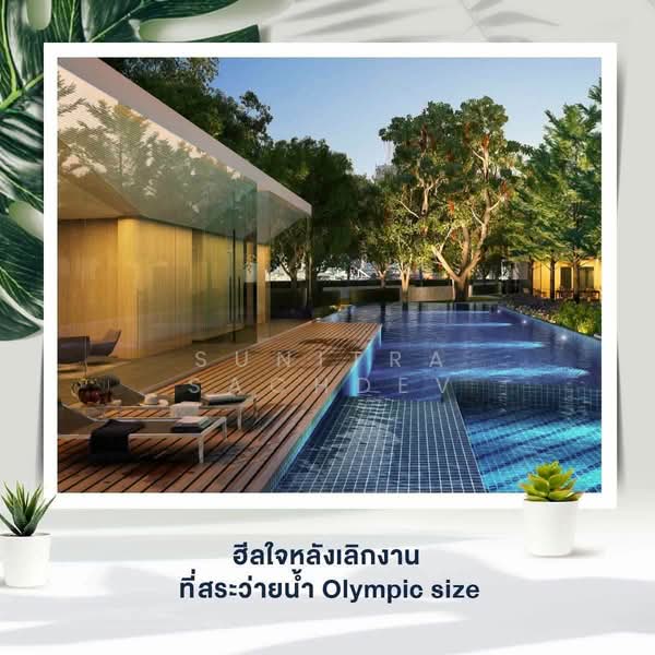 Skyrise Avenue Sukhumvit 64 : สกายไลน์ อเวนิว สุขุมวิท 64, กรุงเทพ, 3 ถนนสุขุมวิท 64, บางจาก, พระโขนง, กรุงเทพ, 44 ตร.ม., คอนโด ให้เช่า, โดย Sunitra Sachdev, 500442949 - DDproperty.com