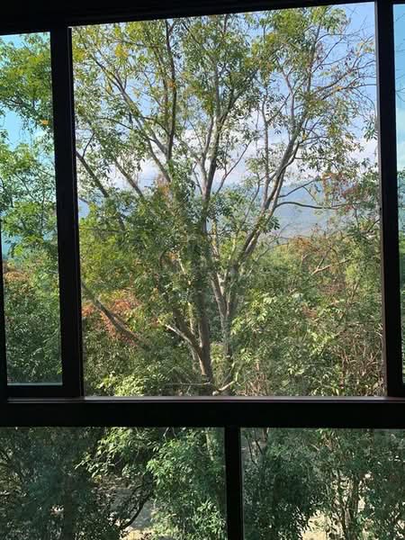 Mountain Front Condominium, Chiang Mai, Chang Phuak, Muang Chiang Mai, Chiang Mai, 1 Bedroom, 85 sqm, Condo For Rent, by คุณ ธีรชาติ, 500443269 - DDproperty.com