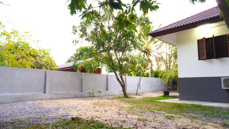 A single storey house for rent at saraphi area : ให้เช่าบ้าน แถวหนองผึ้ง อ.สารภี จ.เชียงใหม่, เชียงใหม่, หนองผึ้ง, สารภี, เชียงใหม่, 160 ตร.ม., บ้านเดี่ยว ให้เช่า, โดย คุณ ธีรชาติ, 500443285 - DDproperty.com
