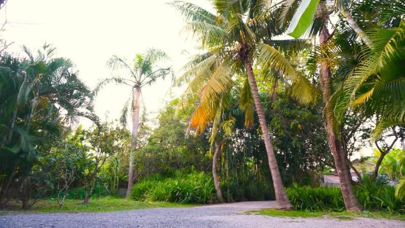 A single storey house for rent at saraphi area : ให้เช่าบ้าน แถวหนองผึ้ง อ.สารภี จ.เชียงใหม่, เชียงใหม่, หนองผึ้ง, สารภี, เชียงใหม่, 160 ตร.ม., บ้านเดี่ยว ให้เช่า, โดย คุณ ธีรชาติ, 500443285 - DDproperty.com