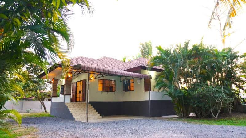 A single storey house for rent at saraphi area : ให้เช่าบ้าน แถวหนองผึ้ง อ.สารภี จ.เชียงใหม่, เชียงใหม่, หนองผึ้ง, สารภี, เชียงใหม่, 160 ตร.ม., บ้านเดี่ยว ให้เช่า, โดย คุณ ธีรชาติ, 500443285 - DDproperty.com