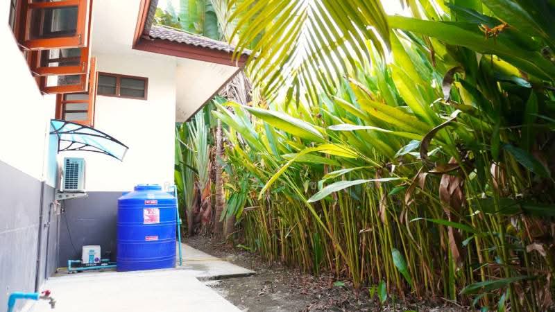 A single storey house for rent at saraphi area : ให้เช่าบ้าน แถวหนองผึ้ง อ.สารภี จ.เชียงใหม่, เชียงใหม่, หนองผึ้ง, สารภี, เชียงใหม่, 160 ตร.ม., บ้านเดี่ยว ให้เช่า, โดย คุณ ธีรชาติ, 500443285 - DDproperty.com