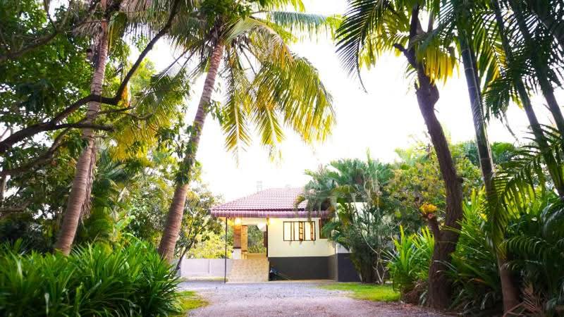 A single storey house for rent at saraphi area : ให้เช่าบ้าน แถวหนองผึ้ง อ.สารภี จ.เชียงใหม่, เชียงใหม่, หนองผึ้ง, สารภี, เชียงใหม่, 160 ตร.ม., บ้านเดี่ยว ให้เช่า, โดย คุณ ธีรชาติ, 500443285 - DDproperty.com
