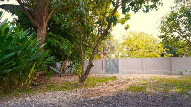 A single storey house for rent at saraphi area, Chiang Mai, Nong Phung, Saraphi, Chiang Mai, 3 Bedrooms, 160 sqm, Single Detached House For Rent, by คุณ ธีรชาติ, 500443285 - DDproperty.com