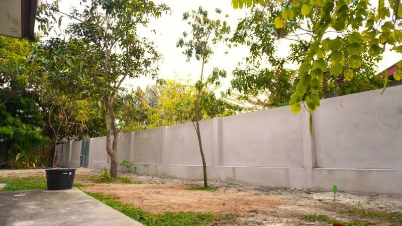 A single storey house for rent at saraphi area : ให้เช่าบ้าน แถวหนองผึ้ง อ.สารภี จ.เชียงใหม่, เชียงใหม่, หนองผึ้ง, สารภี, เชียงใหม่, 160 ตร.ม., บ้านเดี่ยว ให้เช่า, โดย คุณ ธีรชาติ, 500443285 - DDproperty.com