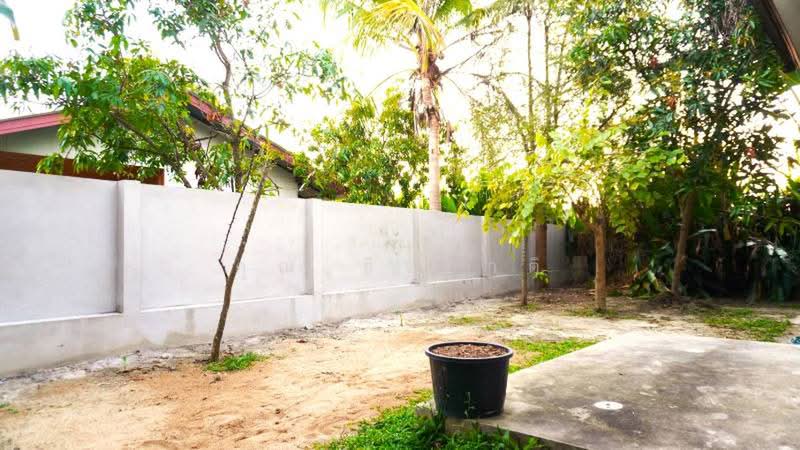 A single storey house for rent at saraphi area : ให้เช่าบ้าน แถวหนองผึ้ง อ.สารภี จ.เชียงใหม่, เชียงใหม่, หนองผึ้ง, สารภี, เชียงใหม่, 160 ตร.ม., บ้านเดี่ยว ให้เช่า, โดย คุณ ธีรชาติ, 500443285 - DDproperty.com