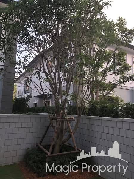 The Palazzo Srinakarin, Bangkok, 55 Soi Srinakarin, Srinakarin Road, Nong Bon, Prawet, Bangkok, 5 Bedrooms, 528 sqm, Single Detached House For Rent, by Magic Property, 500443406 - DDproperty.com