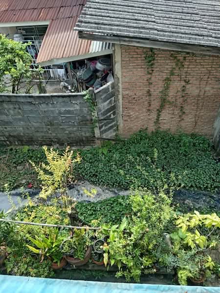 Townhouse Taksin 34, Bangkok, , Dao Khanong, Thon Buri, Bangkok, 1 Bedroom, 44 sqm, Townhouse For Sale, by Connex Property, 500443411 - DDproperty.com