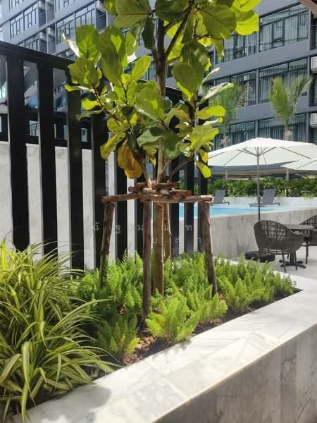 The Indeed Condo Amata, Chon Buri (Pattaya), Wiboon Thammarak Road, Nong Mai Daeng, Muang Chon Buri, Chon Buri (Pattaya), 2 Bedrooms, 42 sqm, Condo For Sale, by ฉัฐมณฑน์ หาบสา, 500443419 - DDproperty.com