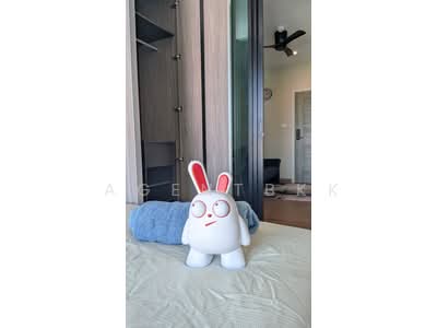 For Rent - Notting Hill Sukhumvit 105, Bangkok