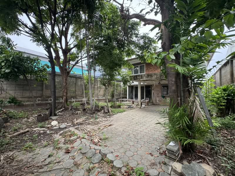 บ้านพร้อมที่ดิน 105 ตรว. ย่านตลิ่งชัน ใกล้ทางพิเศษประจิมรัถยา, กรุงเทพ, ชัยพฤกษ์, ตลิ่งชัน, กรุงเทพ, 200 ตร.ม., บ้านเดี่ยว ขาย, โดย Connex Property, 500443515 - DDproperty.com