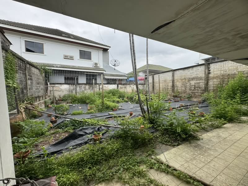 House and Land 105 sq.wah in Taling Chan, near Prachim Ratthaya Expressway, Bangkok, ชัยพฤกษ์, Taling Chan, Bangkok, Studio, 200 sqm, Single Detached House For Sale, by Connex Property, 500443515 - DDproperty.com