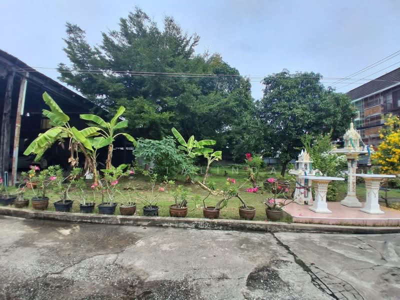 House & Land for Sale (574 sqw) Sailuad Rd THB 150,000/sqw | Warehouse for Rent THB 40,000, Samut Prakan, ด่านเก่า, Tai Ban, Muang Samut Prakarn, Samut Prakan, 4 Bedrooms, 2,297 sqm, Single Detached House For Sale, by Sasialinda (Muay), 500443553 - DDproperty.com
