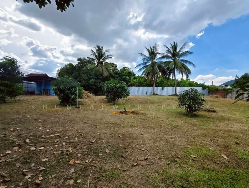ให้เช่าที่ดิน 250 ตร.ว. ทำเลแจ้งวัฒนะ–ปากเกร็ด 24, นนทบุรี, ปากเกร็ด, นนทบุรี, 1,000 ตร.ม., ที่ดิน ให้เช่า, โดย KhunTaewProperty, 500443561 - DDproperty.com