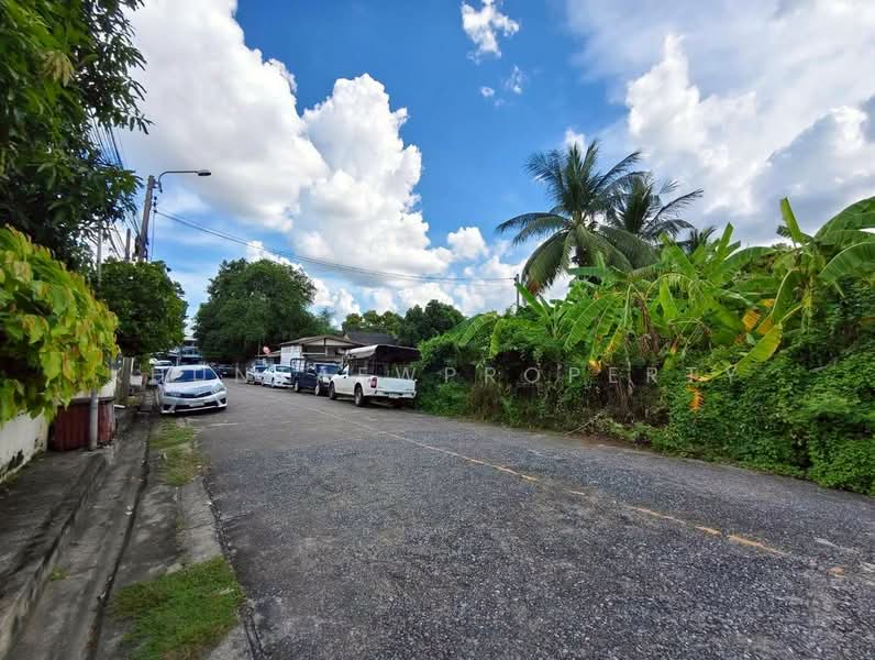ให้เช่าที่ดิน 250 ตร.ว. ทำเลแจ้งวัฒนะ–ปากเกร็ด 24, นนทบุรี, ปากเกร็ด, นนทบุรี, 1,000 ตร.ม., ที่ดิน ให้เช่า, โดย KhunTaewProperty, 500443561 - DDproperty.com