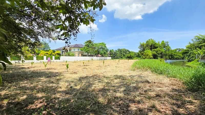 บางนา, กรุงเทพ, บางนา, กรุงเทพ, 2,048 ตร.ม., ที่ดิน ขาย, โดย Pongpeera Ditsayathitaphan, 500443615 - DDproperty.com