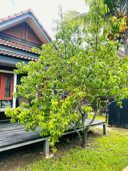 Sankamphaeng, Chiang Mai, San Kamphaeng, San Kamphaeng, Chiang Mai, 3 Bedrooms, 200 sqm, Single Detached House For Rent, by วุฒิภัทร มิ่งคำ, 500443712 - DDproperty.com