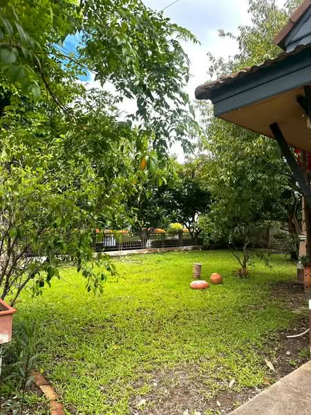 Sankamphaeng, Chiang Mai, San Kamphaeng, San Kamphaeng, Chiang Mai, 3 Bedrooms, 200 sqm, Single Detached House For Rent, by วุฒิภัทร มิ่งคำ, 500443712 - DDproperty.com