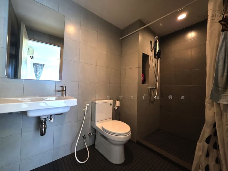Elio Sukhumvit 64 : เอลลิโอ สุขุมวิท 64, Bangkok, 99 ซอยสุขุมวิท 64, Bang Chak, Phra Khanong, Bangkok, 1 Bedroom, 31 sqm, Condo For Rent, by วิฑูรย์ รีวราบัณฑิต, 500443741 - DDproperty.com