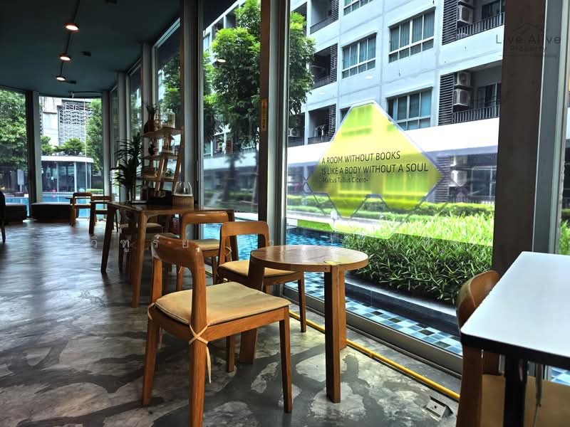 Elio Sukhumvit 64 : เอลลิโอ สุขุมวิท 64, กรุงเทพ, 99 ซอยสุขุมวิท 64, บางจาก, พระโขนง, กรุงเทพ, 31 ตร.ม., คอนโด ให้เช่า, โดย วิฑูรย์ รีวราบัณฑิต, 500443741 - DDproperty.com