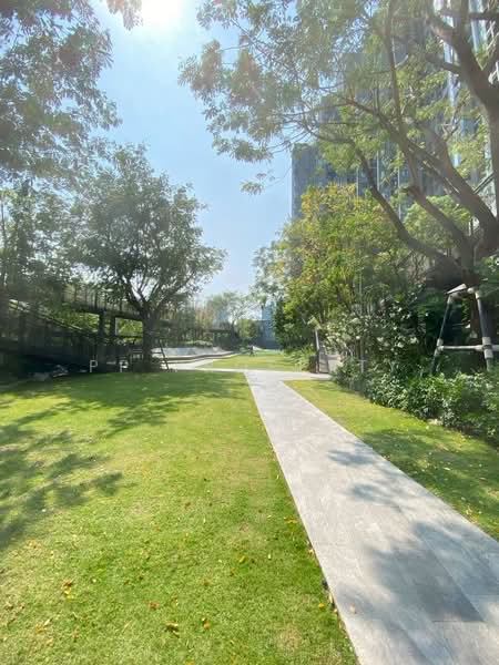Life Sathorn Sierra, Bangkok, Ratchaphruek Rd, Talat Plu, Thon Buri, Bangkok, 1 Bedroom, 35 sqm, Condo For Rent, by PP Property, 500443744 - DDproperty.com