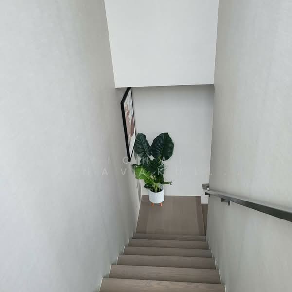 Celes Asoke, Bangkok, 8-10 Sukhumvit 21, Khlongtoei Nua, Watthana, Bangkok, 2 Bedrooms, 90 sqm, Condo For Rent, by Vichai Annavakulthorn, 500443795 - DDproperty.com