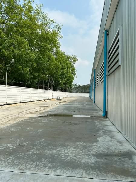 บ้านบึง, Chon Buri (Pattaya), Nong I-run, Ban Bung, Chon Buri (Pattaya), , 1,250 sqm, Warehouse/Factory For Sale, by Infinity EEC (Thailand) Co., Ltd., 500443828 - DDproperty.com