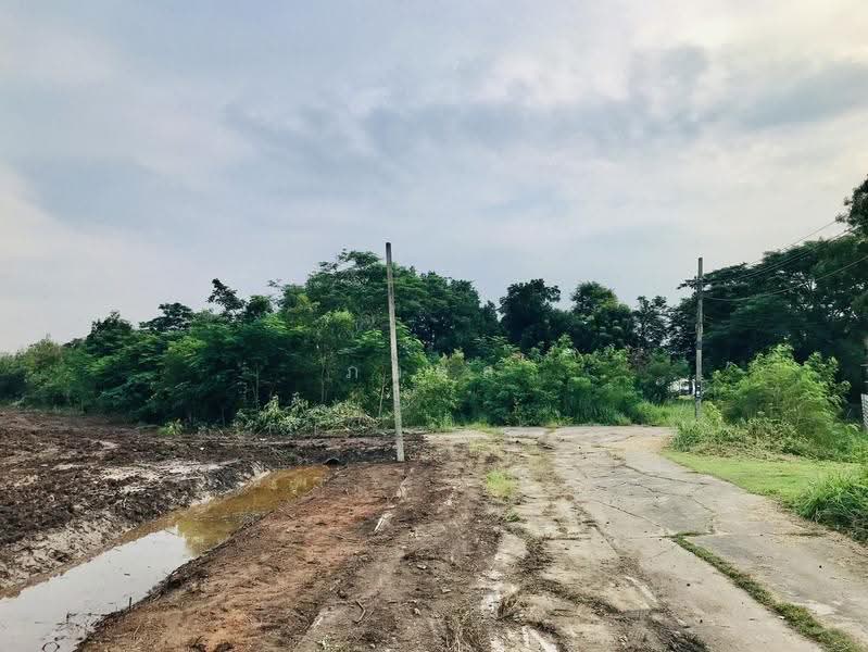 Land at Suwinthawong 110, Bangkok, สุวินทวงศ์, Krathum Rai, Nong Chok, Bangkok, , 3,400 sqm, Land For Sale, by ภวดล, 500444030 - DDproperty.com