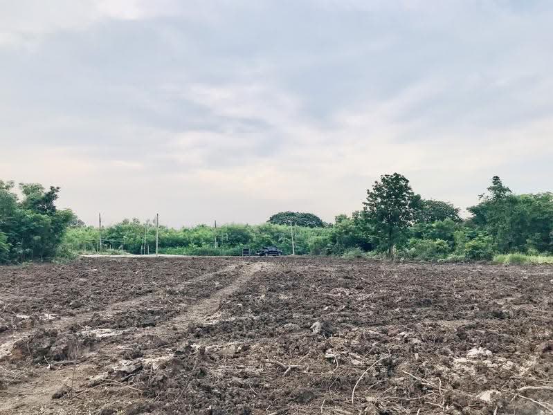 Land at Suwinthawong 110, Bangkok, สุวินทวงศ์, Krathum Rai, Nong Chok, Bangkok, , 3,400 sqm, Land For Sale, by ภวดล, 500444030 - DDproperty.com