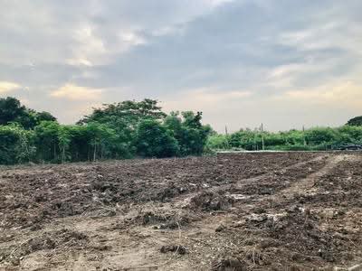 ขาย - สุวินทวงศ์ 110, กรุงเทพ