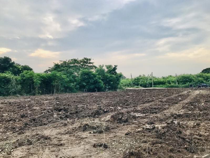 สุวินทวงศ์ 110, กรุงเทพ, สุวินทวงศ์, กระทุ่มราย, หนองจอก, กรุงเทพ, 3,400 ตร.ม., ที่ดิน ขาย, โดย ภวดล, 500444030 - DDproperty.com