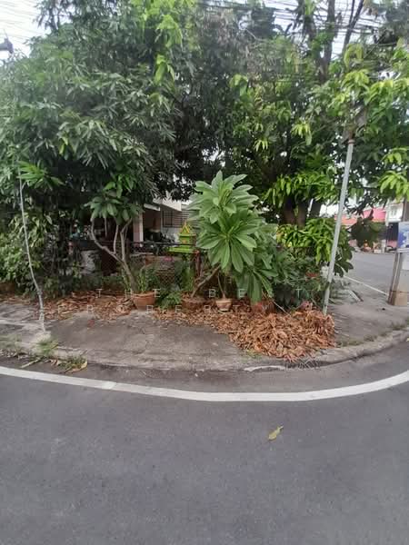 การเคหะแห่งชาติ ราชบุรี, Ratchaburi, Chedi Hak, Muang Ratchaburi, Ratchaburi, 3 Bedrooms, 150 sqm, Semi-Detached House (Twin House) For Sale, by The Best Property อุ๋ย, 500444154 - DDproperty.com