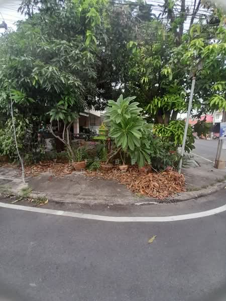 การเคหะแห่งชาติ ราชบุรี, ราชบุรี, เจดีย์หัก, เมืองราชบุรี, ราชบุรี, 150 ตร.ม., บ้านแฝด ขาย, โดย The Best Property อุ๋ย, 500444154 - DDproperty.com