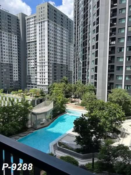 Aspire Erawan Prime, Samut Prakan, Sukhumvit Road, Pak Nam, Muang Samut Prakarn, Samut Prakan, 1 Bedroom, 32 sqm, Condo For Rent, by Nichaphat Sakunchayapha, 500444229 - DDproperty.com