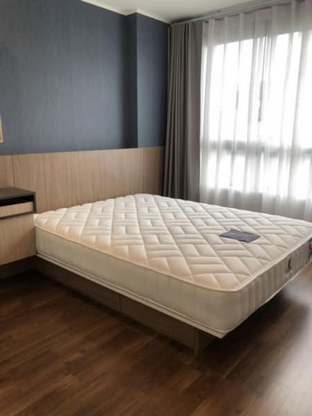 U Delight Ratchavibha, Bangkok, 888 Vibhavadi-Rangsit Road, Lat Yao, Chatuchak, Bangkok, 1 Bedroom, 31 sqm, Condo For Rent, by Connex Property, 500444435 - DDproperty.com