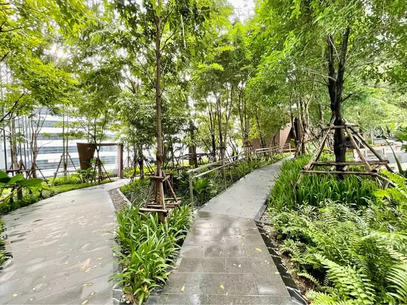 One9Five Asoke-Rama 9, Bangkok, 195 Soi Rama 9 Soi 5, Huai Khwang, Bangkok, 1 Bedroom, 36 sqm, Condo For Rent, by Boonraksa Sopak, 500444569 - DDproperty.com