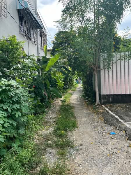 Studio House, Bangkok, Arun Amarin, Bangkok Noi, Bangkok, Studio, 47 sqm, Single Detached House For Sale, by Pemika Aukkaraleekul, 500444675 - DDproperty.com