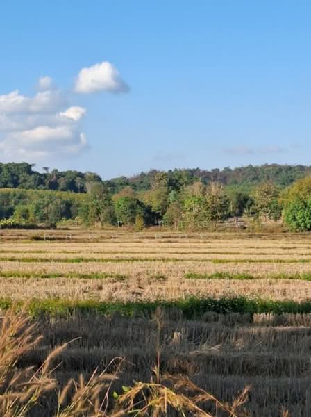 ที่ดินเวียงชัย เชียงราย, Chiang Rai, Don Sila, Wiang Chai, Chiang Rai, , 16,620 sqm, Land For Sale, by The Best Property ไนล์, 500444723 - DDproperty.com