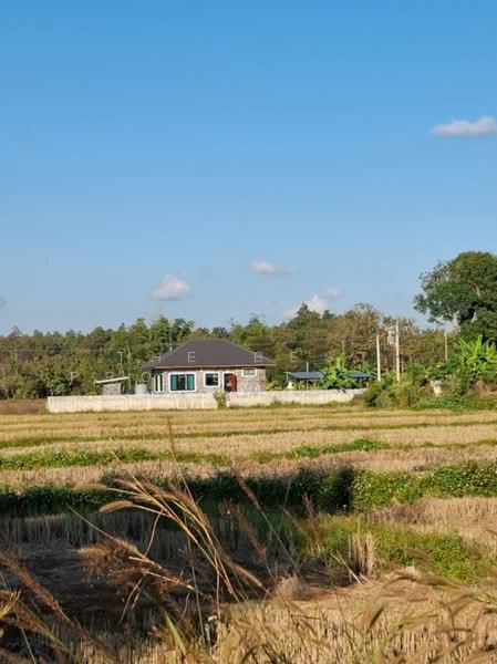 ที่ดินเวียงชัย เชียงราย, Chiang Rai, Don Sila, Wiang Chai, Chiang Rai, , 16,620 sqm, Land For Sale, by The Best Property ไนล์, 500444723 - DDproperty.com