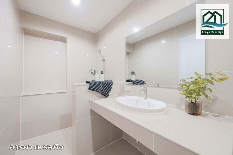 S Condo Sukhumvit 50 : เอส คอนโด สุขุมวิท 50, กรุงเทพ, 1332 ซ. สุขุมวิท 50, พระโขนง, คลองเตย, กรุงเทพ, 60 ตร.ม., คอนโด ขาย, โดย วิสุทธินี เฉลิมสินสุวรรณ, 500444771 - DDproperty.com
