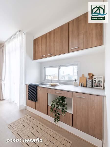 S Condo Sukhumvit 50 : เอส คอนโด สุขุมวิท 50, กรุงเทพ, 1332 ซ. สุขุมวิท 50, พระโขนง, คลองเตย, กรุงเทพ, 60 ตร.ม., คอนโด ขาย, โดย วิสุทธินี เฉลิมสินสุวรรณ, 500444771 - DDproperty.com