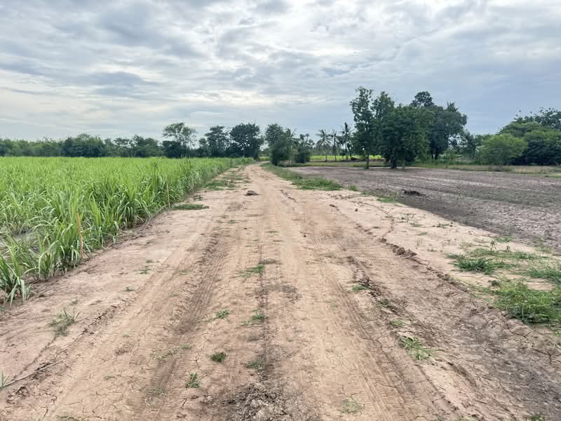 ขายที่ดินเปล่า 2 เเปลง ทำเลดี เหมาะสำหรับลงทุน จังหวัดนครราชสีมา, Nakhon Ratchasima, Sra Phra, Phra Thong Kham, Nakhon Ratchasima, , 51,964 sqm, Land For Sale, by คุณ วิญากร, 500444816 - DDproperty.com