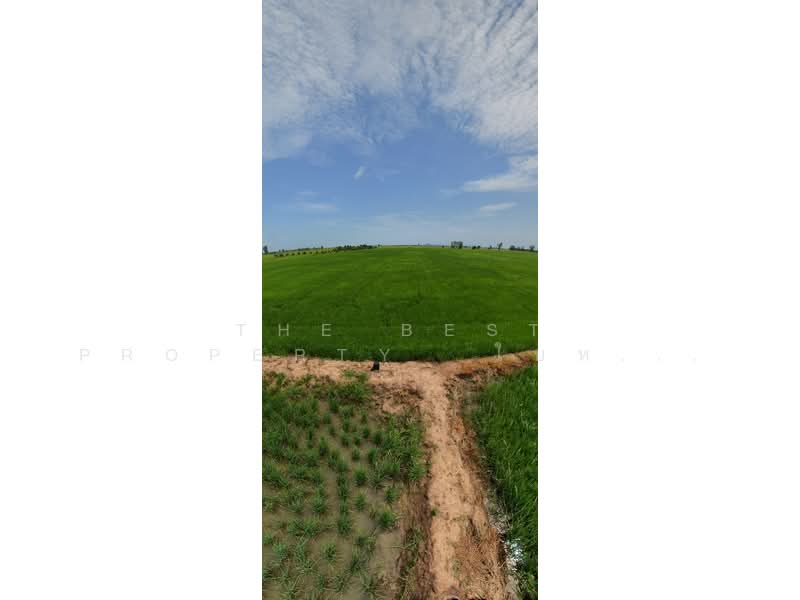 ที่ดินอินทร์บุรี สิงห์บุรี, Sing Buri, Pho-Chai, In Buri, Sing Buri, , 61,888 sqm, Land For Sale, by The Best Property  ใบหม่อน, 500444905 - DDproperty.com